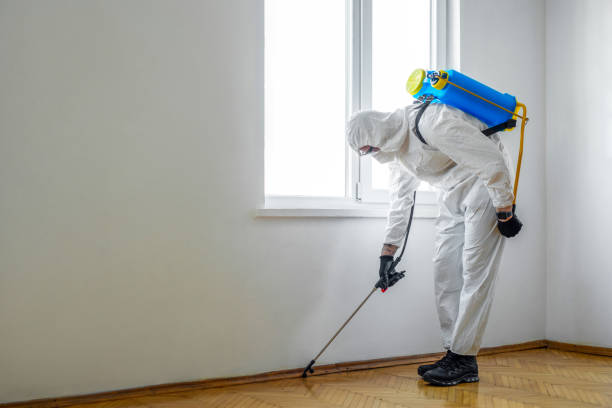 Best Wasp Removal Services  in Forest Heights, MD