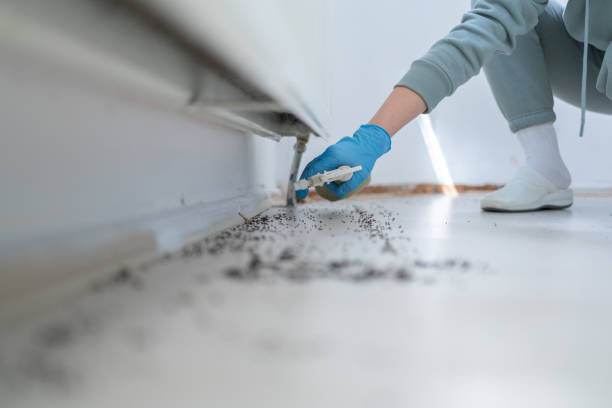 Best Cockroach Control Services  in Forest Heights, MD